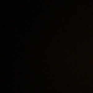 Meet your Posher, Audrey